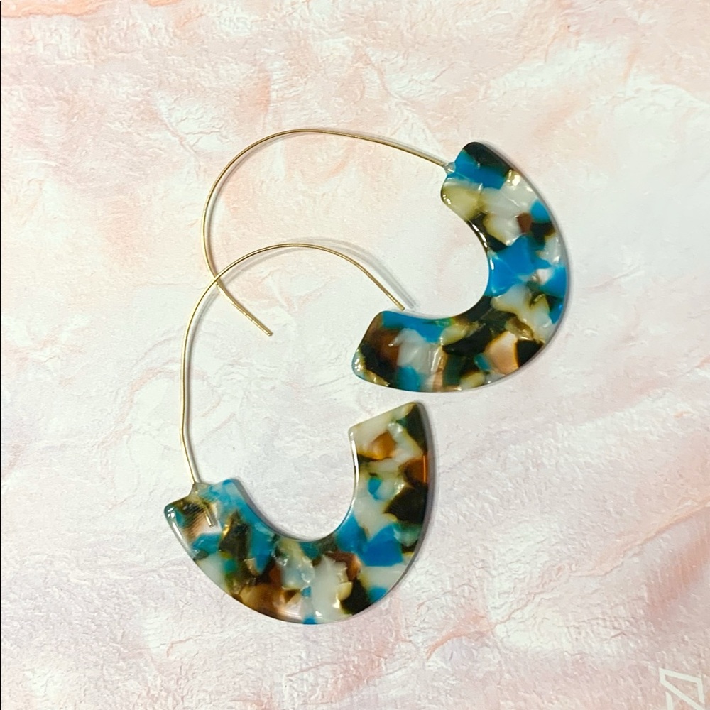 DropHook Turquoise & Brown Acrylic Earrings